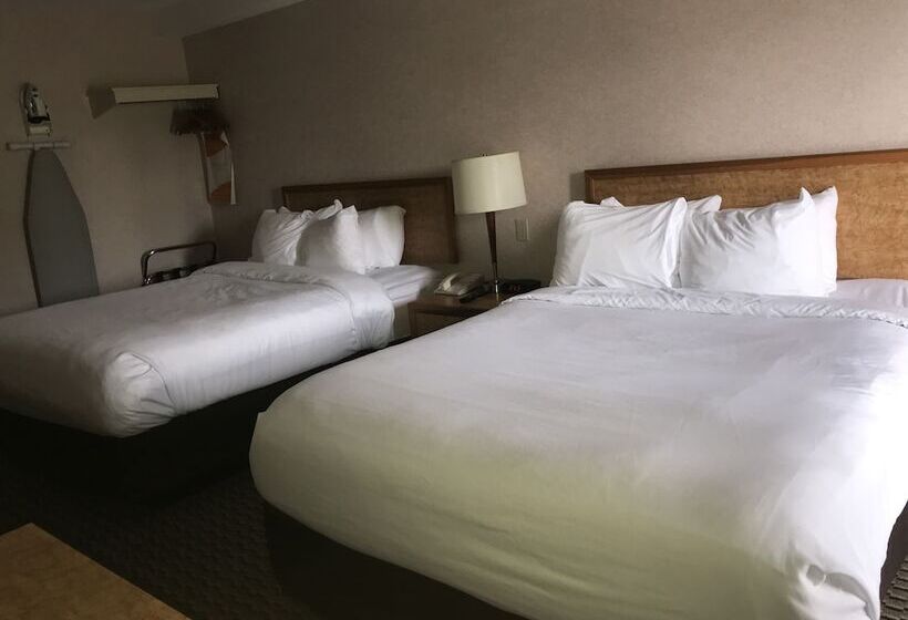 חדר סטנדרט שתי מיטות זוגיות, Rodeway Inn