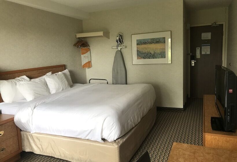 キングサイズベッドのスタンダードルーム, Rodeway Inn
