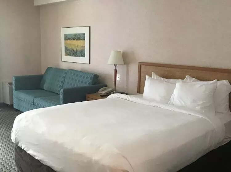 キングサイズベッドのスタンダードルーム, Rodeway Inn