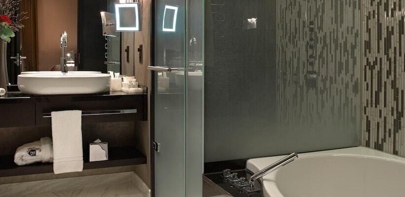 סטודיו דלוקס, Schweizerhof Bern & Spa