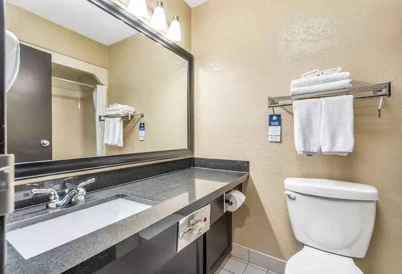 اتاق استاندارد با 2 تخت دوبل, Seven Oaks Hotel Regina
