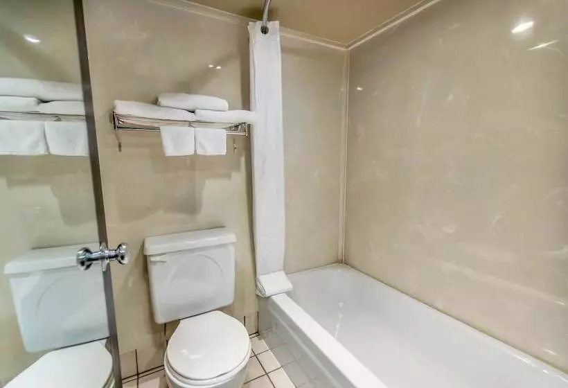 اتاق استاندارد با تخت دوبل, Seven Oaks Hotel Regina