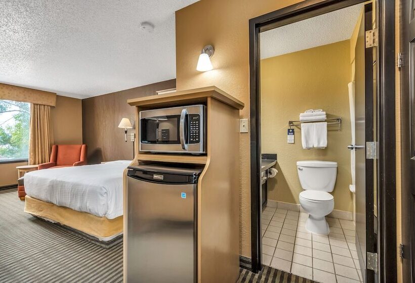 ダブルベッドスタンダードルーム, Seven Oaks Hotel Regina