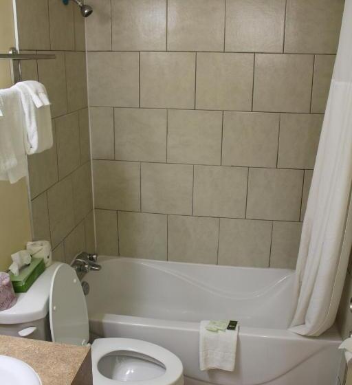 身障者適用スタンダードルーム, Travelodge By Wyndham Swift Current