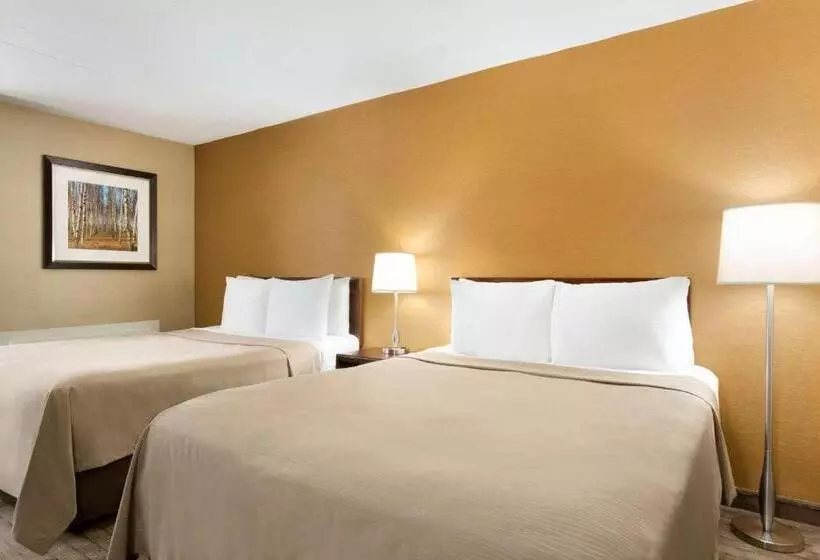 ２ダブルベッドのスタンダードルーム, Travelodge By Wyndham Toronto East