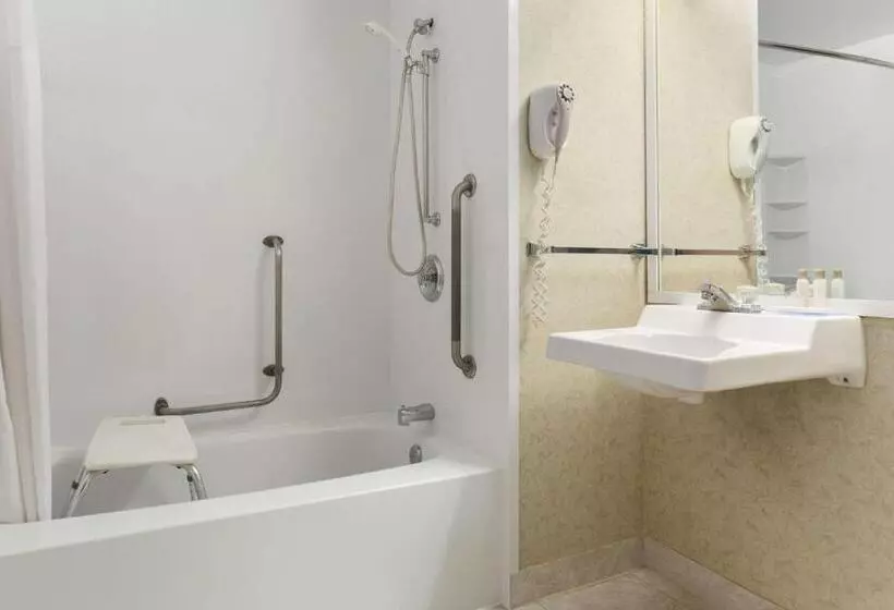 اتاق استاندارد با تخت بزرگ, Travelodge By Wyndham Winnipeg East