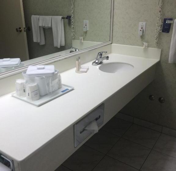 جناح ديلوكس سرير كينج, Travelodge By Wyndham Winnipeg East