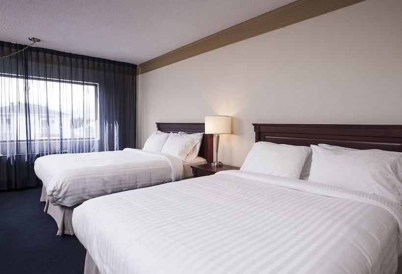 带2个双人床的标准工作室, Le Deville Par G5