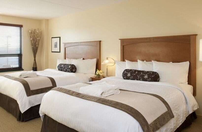 带2个双人床的标准工作室, Temple Gardens Hotel & Spa