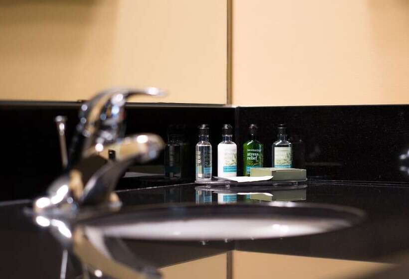 带2个双人床的标准工作室, Temple Gardens Hotel & Spa