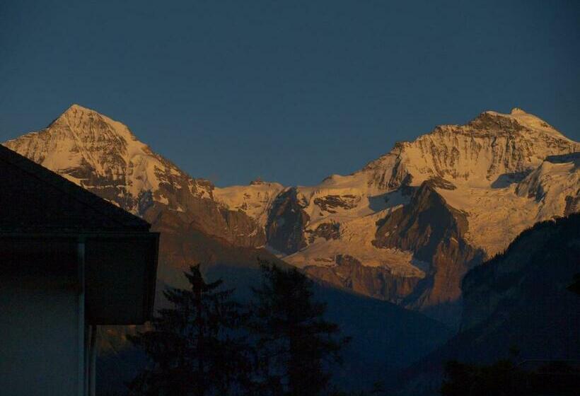 家庭间, Chalet Swiss