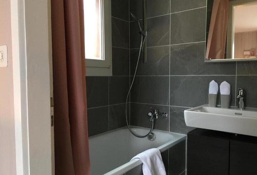 غرفة قياسية, Boutique Hotel Bellevue B&b Am Brienzersee Iseltwald Interlaken