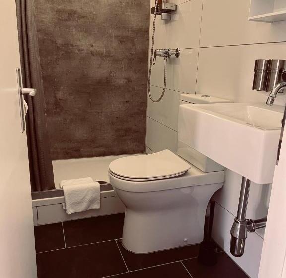 غرفة سوبيريور, Boutique Hotel Bellevue B&b Am Brienzersee Iseltwald Interlaken