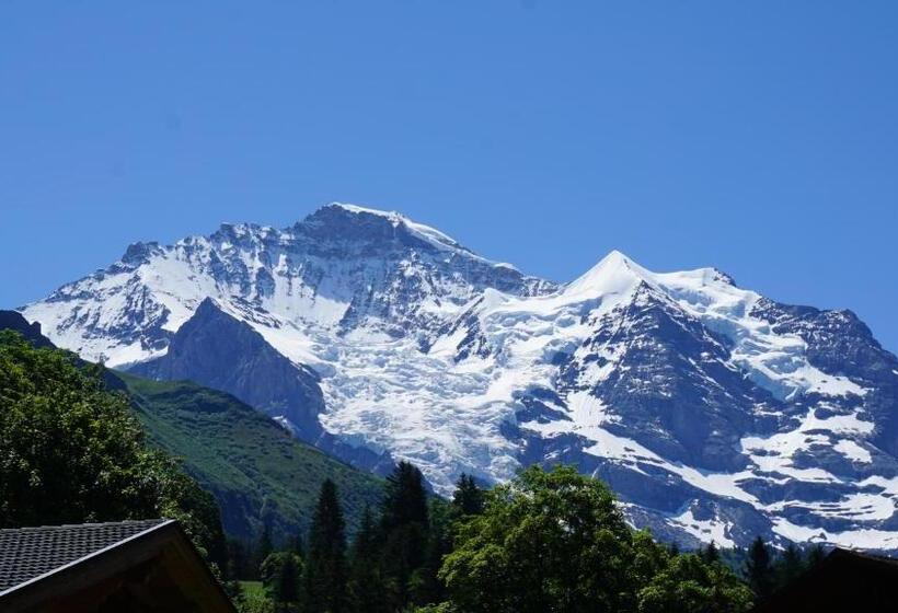 一居室别墅, Alpenkräuter Hotel Bären