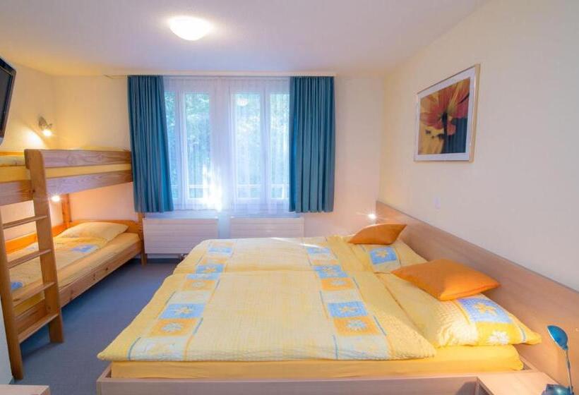اتاق استاندارد با سرویس بهداشتی مشترک, Eiger Mürren Swiss Quality