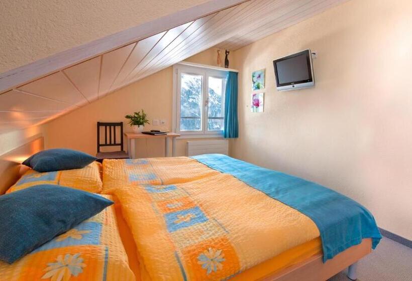 스탠다드 룸 공동 욕실, Eiger Mürren Swiss Quality