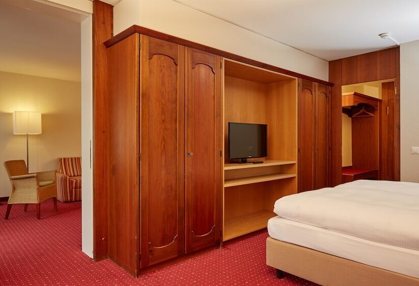 Апартаменты Комфорт 1 Спальня, H+ Hotel & Spa Engelberg