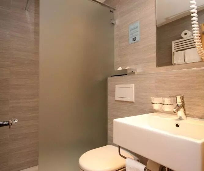 スタンダードシングルルーム, Hôtel Alpina   Swiss Ski & Bike Lodge Grimentz