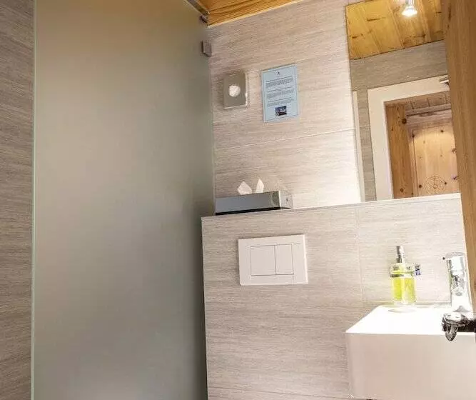 スタンダードシングルルーム, Hôtel Alpina   Swiss Ski & Bike Lodge Grimentz