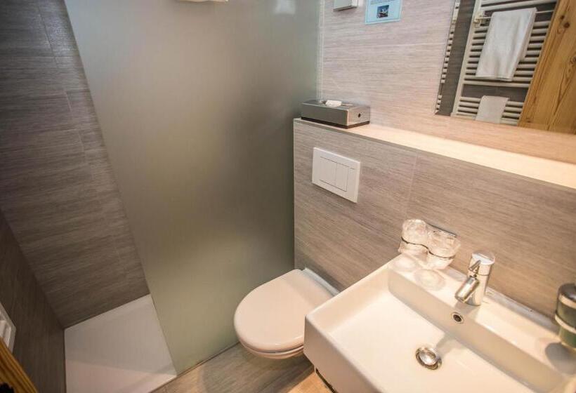 标准间, Hôtel Alpina   Swiss Ski & Bike Lodge Grimentz