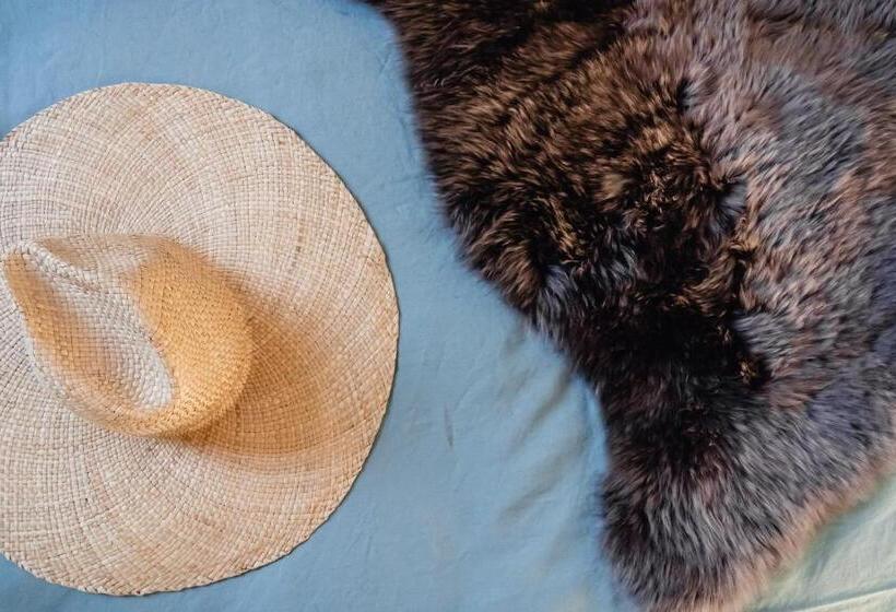 スタンダードルーム, Landgasthof Halbinsel Au