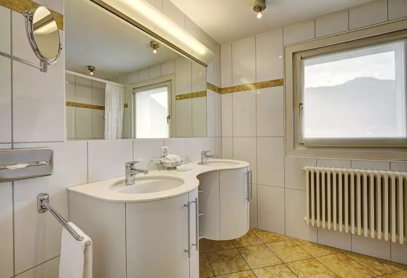 اتاق استاندارد, Meierhof