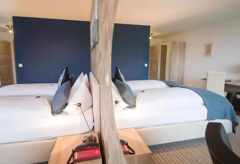 スーペリアールーム, Park   Hotel Inseli