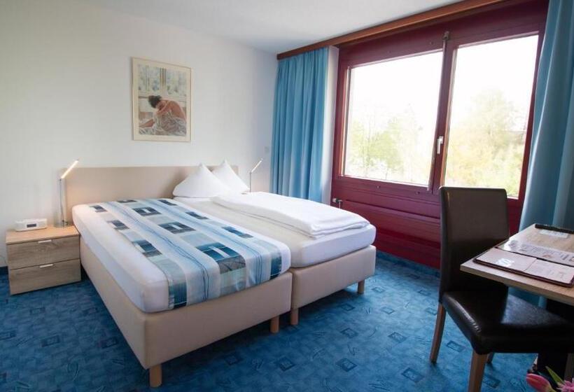 חדר סטנדרט יחיד, Park   Hotel Inseli