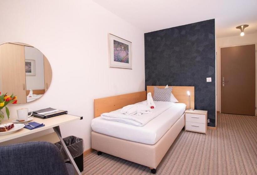 חדר סטנדרט יחיד, Park   Hotel Inseli