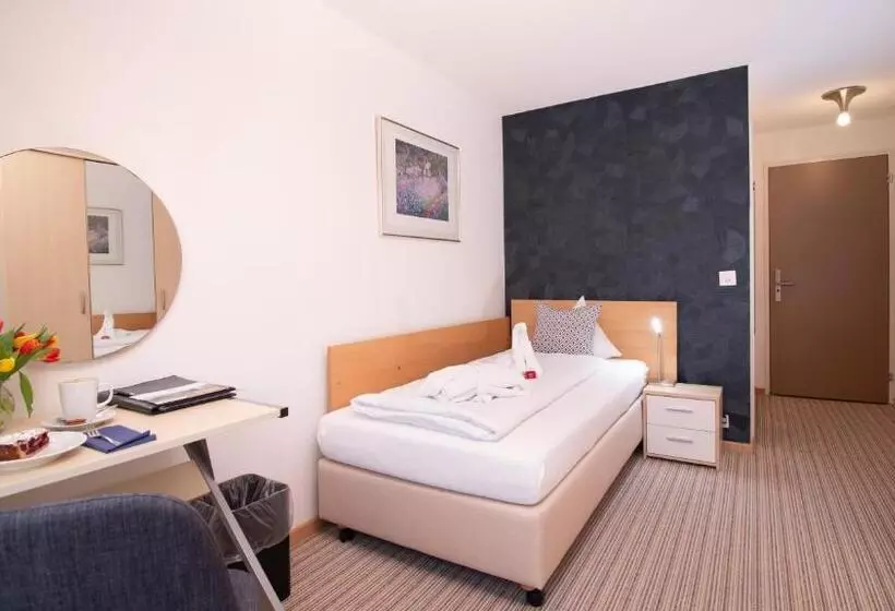 スタンダードシングルルーム, Park   Hotel Inseli