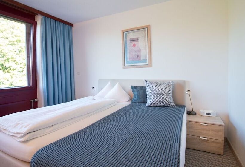 Номер Стандарт Индивидуальный, Park   Hotel Inseli