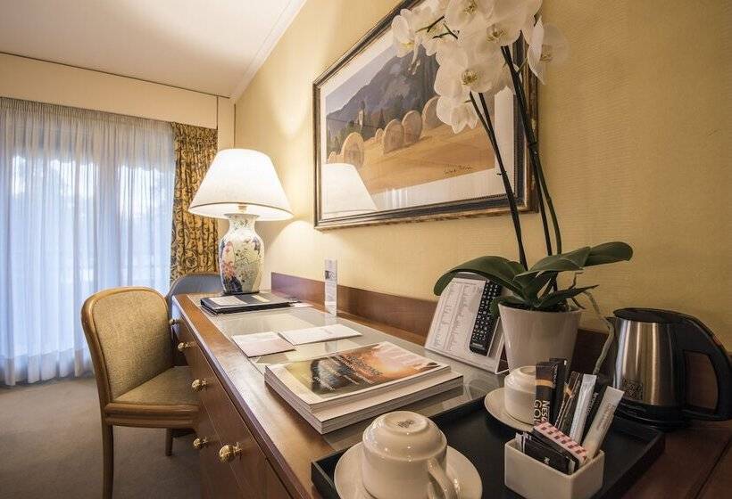 스탠다드 전망 룸, Royal Plaza Montreux