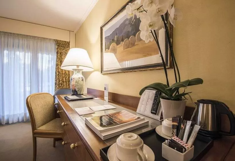اتاق استاندارد با چشم‌انداز, Royal Plaza Montreux