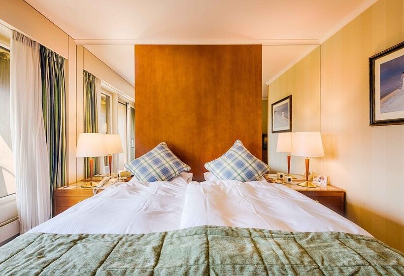 스탠다드 전망 룸, Royal Plaza Montreux