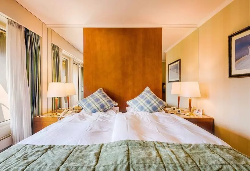 اتاق استاندارد با چشم‌انداز, Royal Plaza Montreux