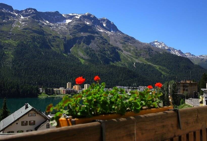 スーペリアールーム, Steffani