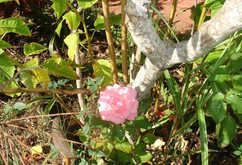 スタンダードシングルルーム, Victoria