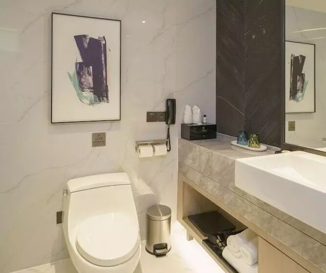 エクゼクティブルーム, Guangzhou Baiyun