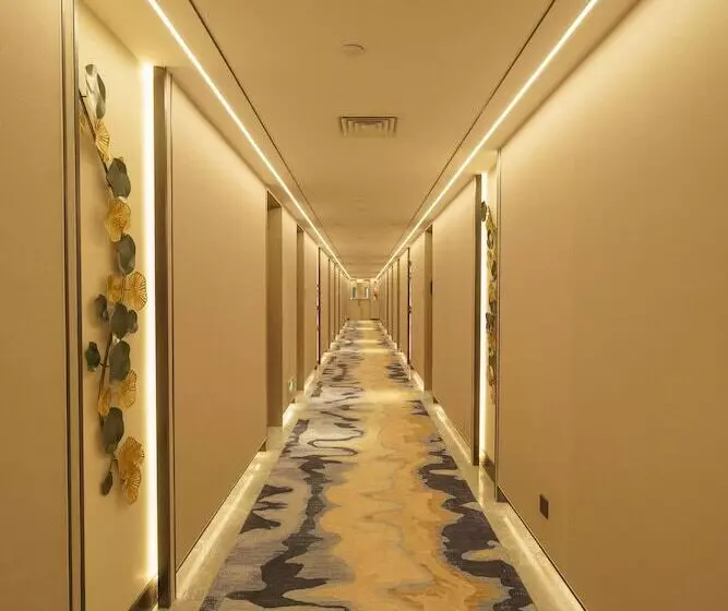 エクゼクティブルーム, Guangzhou Baiyun