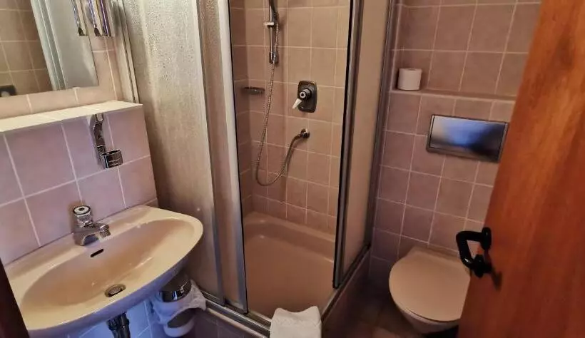 Standard Yhden Hengen Huone, Heidehotel Soltauer Hof