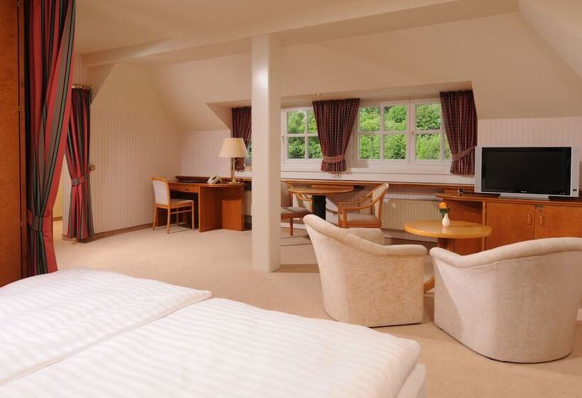 غرفة سوبيريور, Maritim Hotel Bad Wildungen