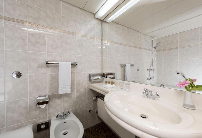 غرفة سوبيريور, Maritim Hotel Bad Wildungen