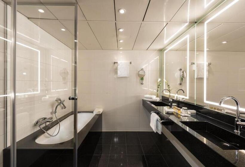 套房, Maritim Hotel Bonn