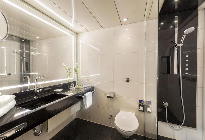 古典房间, Maritim Hotel Bonn