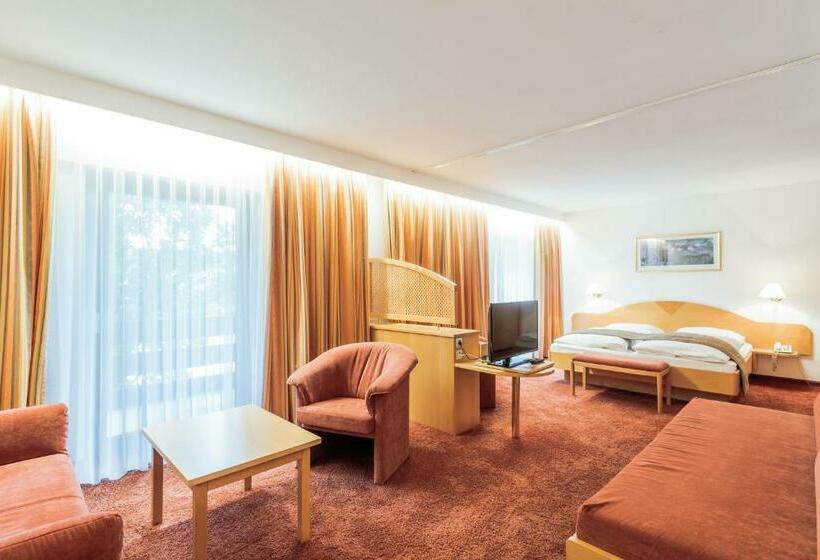 小型套房带阳台, Schutzenhof