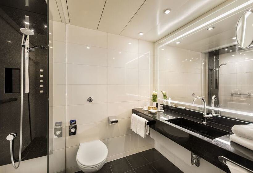 古典房间, Maritim Hotel Bonn