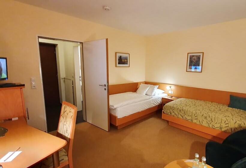 Номер Стандарт Индивидуальный, Paulsen