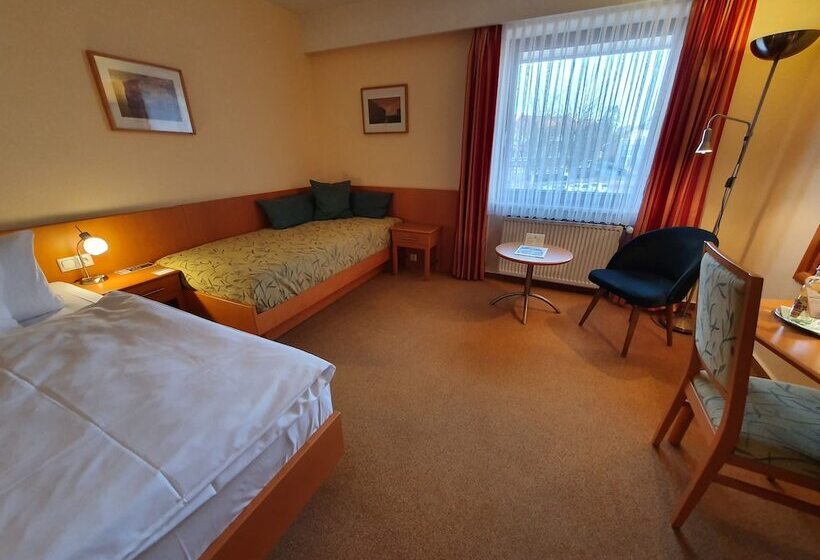 Номер Стандарт Индивидуальный, Paulsen