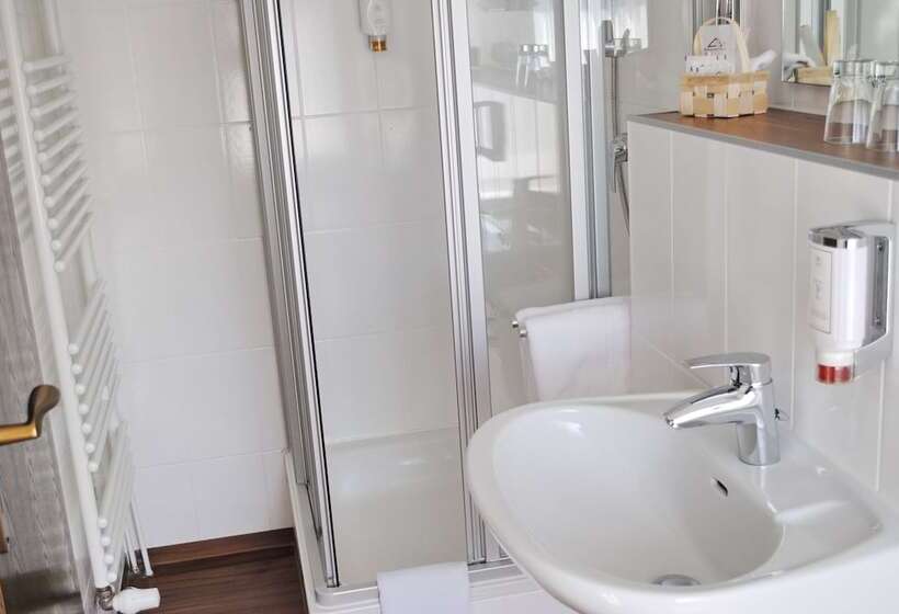 Номер Стандарт, Paulsen