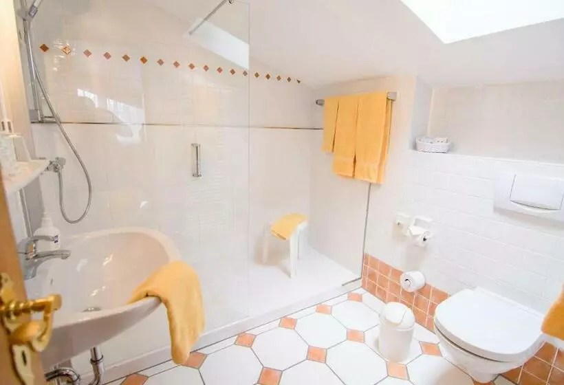 Standard-huone, Sporthotel Zum Hohen Eimberg